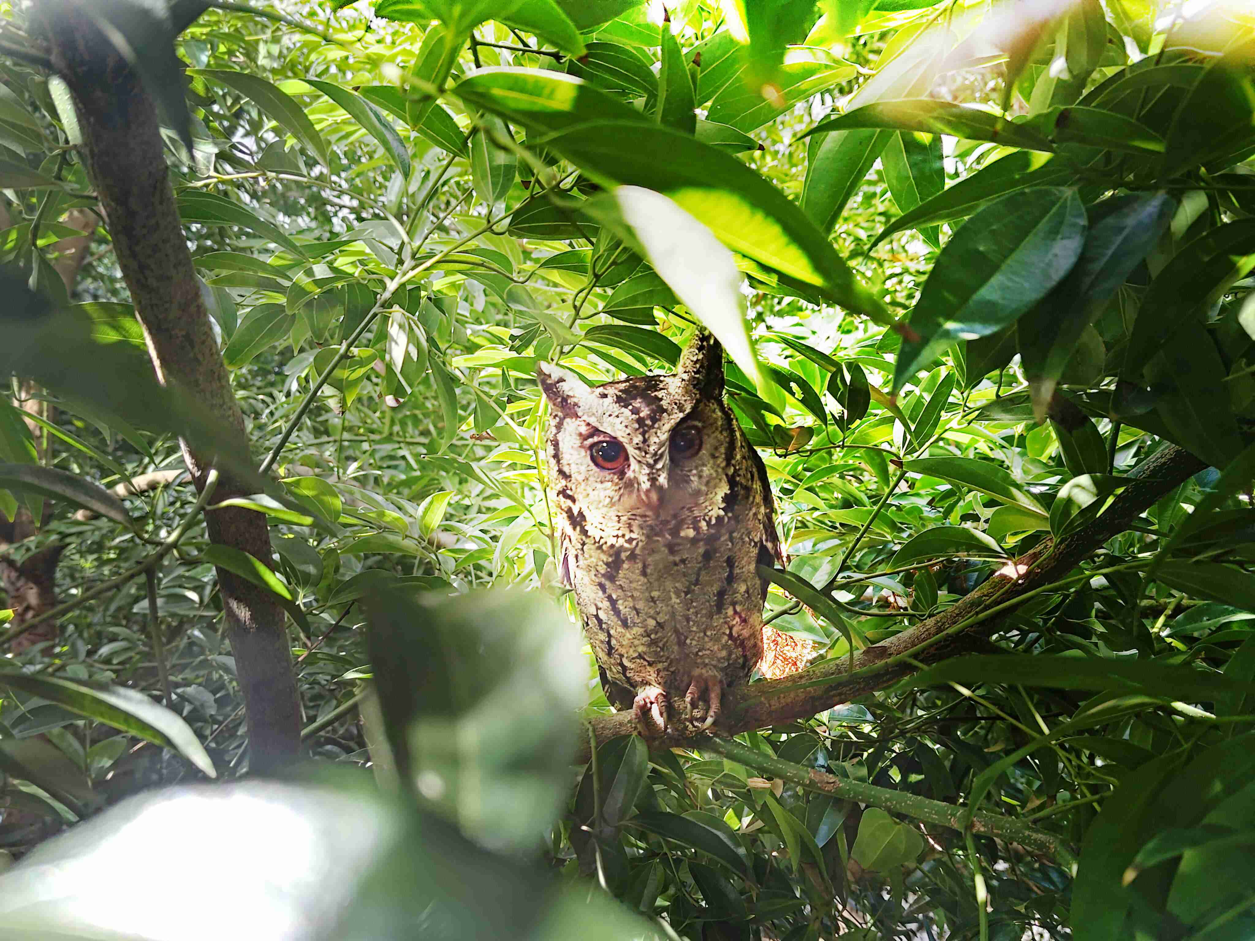 z6尊龙致力提倡净零绿生活，，，，16年以来在全球各厂区植树逾百万棵，，，，造就各厂区树木蔚然成林，，，犹如森林工厂，，，，成为许多生物的栖息地